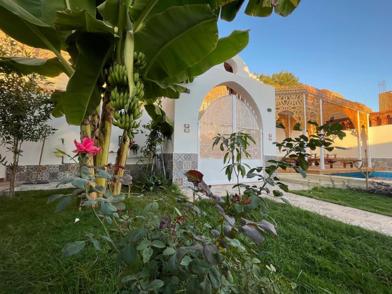 Villa Kemet Jazirat al Awwamiyah Zewnętrze zdjęcie