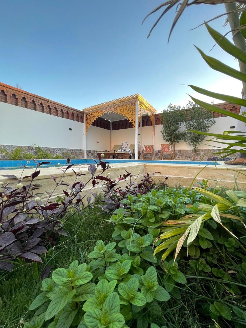 Villa Kemet Jazirat al Awwamiyah Zewnętrze zdjęcie